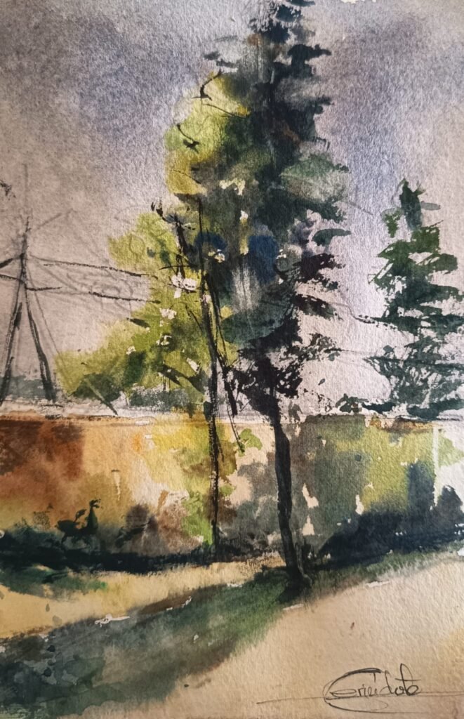 paisjae rural arboles