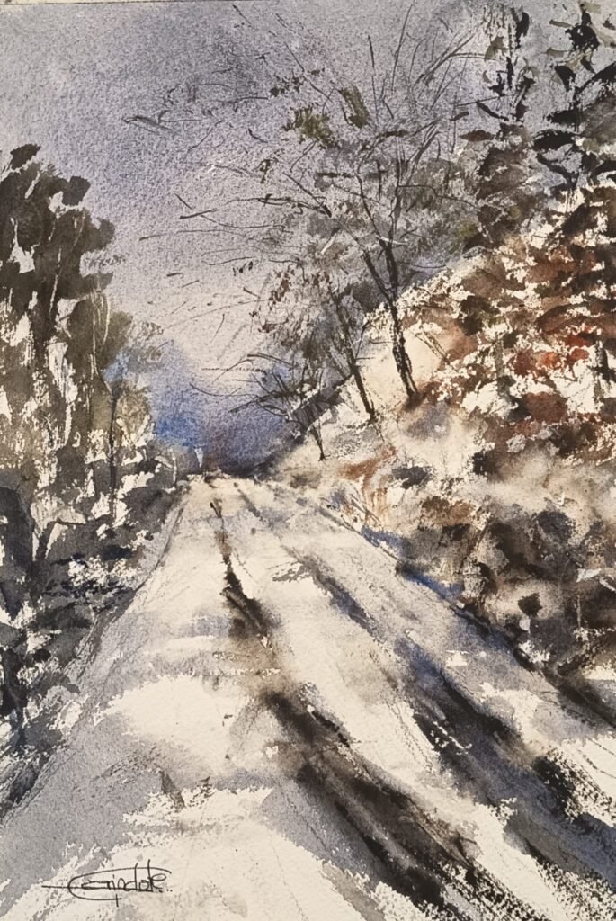 paisaje abierto nevado